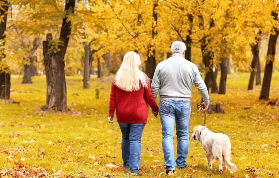 A middle aged white couple are walking a golden retriever dog in the woods. It is autumn and the trees and ground are covered in bright yellow leaves.