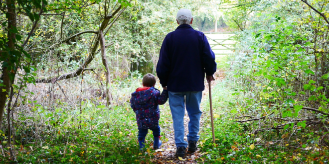 image shows an older man with a walking stick. He is seen from behind and is holding hands with a small child who is wearing wellies and a waterproof coat. They are on a path in a woodland with autumn leaves on the ground .